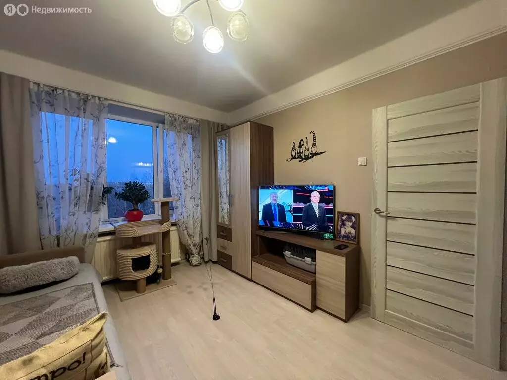 1-комнатная квартира: Санкт-Петербург, проспект Науки, 24к1 (31 м) - Фото 1