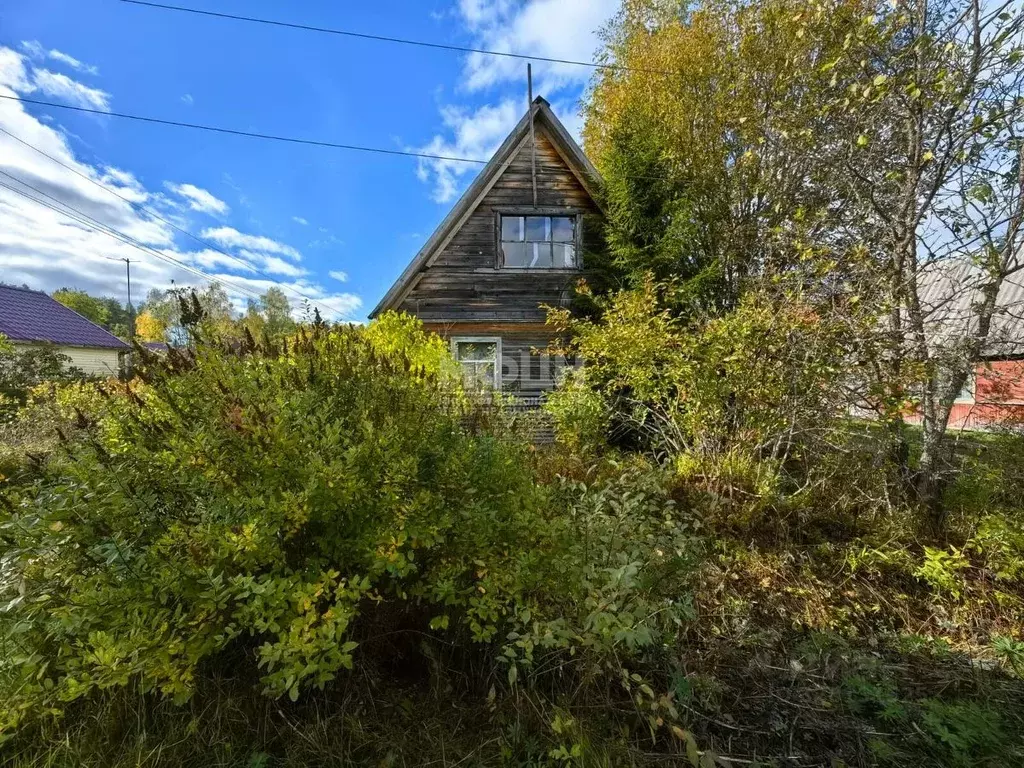 Дом в Карелия, Пряжинское городское поселение, Устье СНТ 60 (60 м) - Фото 2