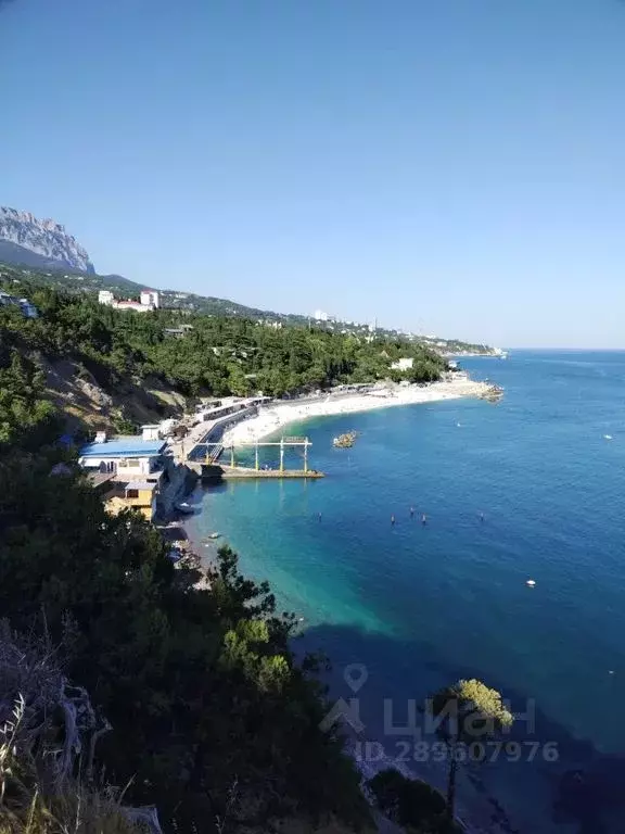 Комната Крым, Алупка Ялта городской округ, ул. Первого Мая, 1В - Фото 1