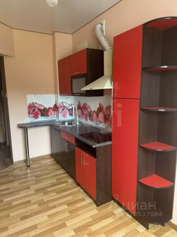 1-к кв. Алтай, Горно-Алтайск ул. Осипенко (25.7 м) - Фото 2