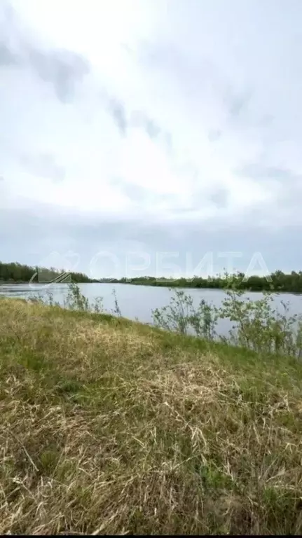 Участок в Тюменская область, Тюменский район, с. Борки  (44.6 сот.) - Фото 0