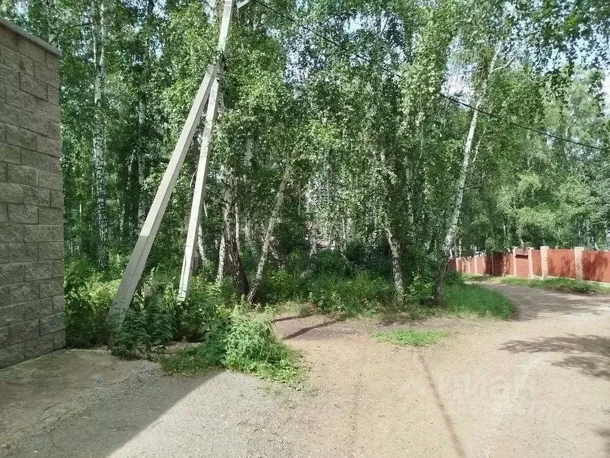 Участок в Башкортостан, Абзелиловский район, Ташбулатовский сельсовет, ... - Фото 1