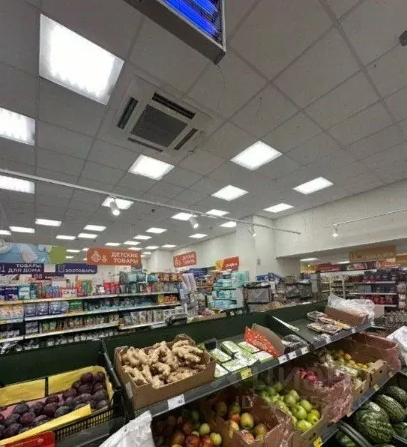 Помещение свободного назначения в Санкт-Петербург просп. Непокоренных, ... - Фото 2