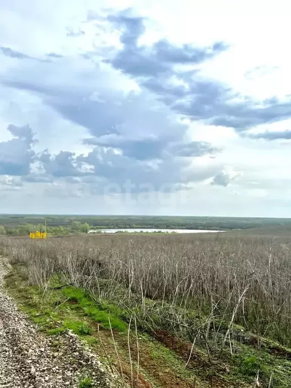 Участок в Оренбургская область, Оренбургский район, пос. Соловьевка ... - Фото 1