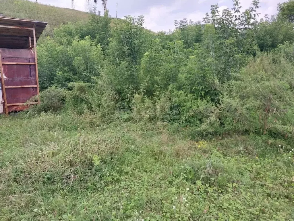 Участок в Алтайский край, Алтайский район, Айский сельсовет, с. Ая ул. ... - Фото 0