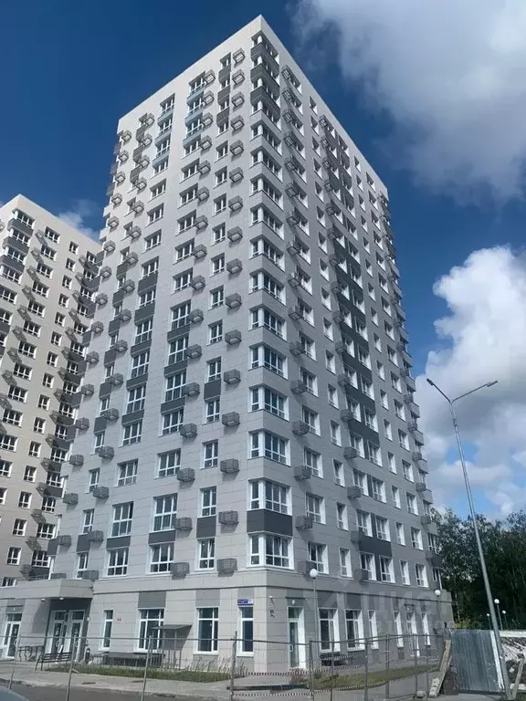 Студия Московская область, Пушкино Ярославское ш., 194к1 (27.9 м) - Фото 1