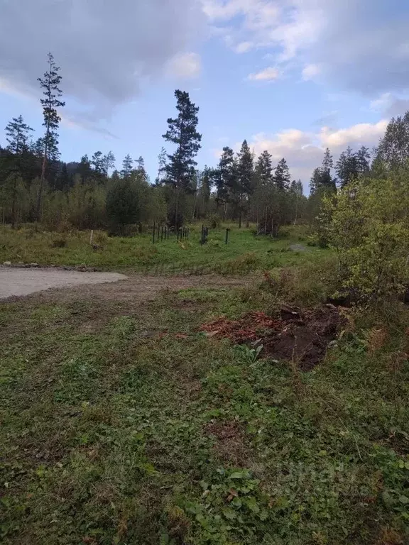 Участок в Алтай, Чемальский район, Узнезинское с/пос, с. Узнезя  (12.0 ... - Фото 2