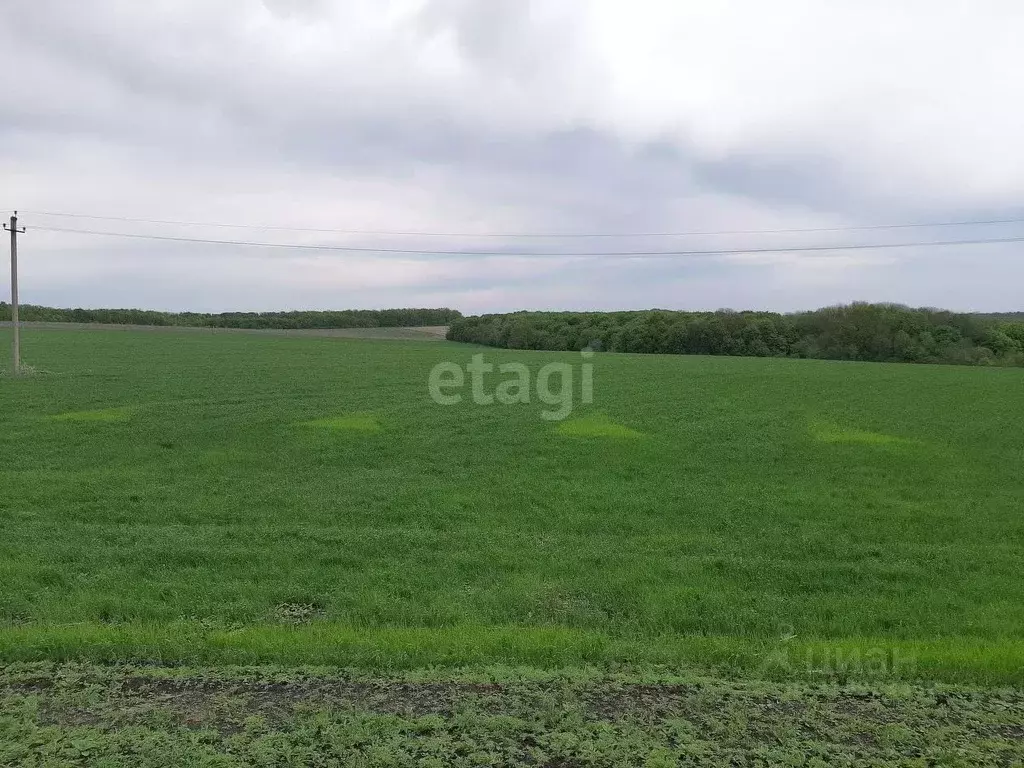 Участок в Белгородская область, Красногвардейский муниципальный округ, ... - Фото 2
