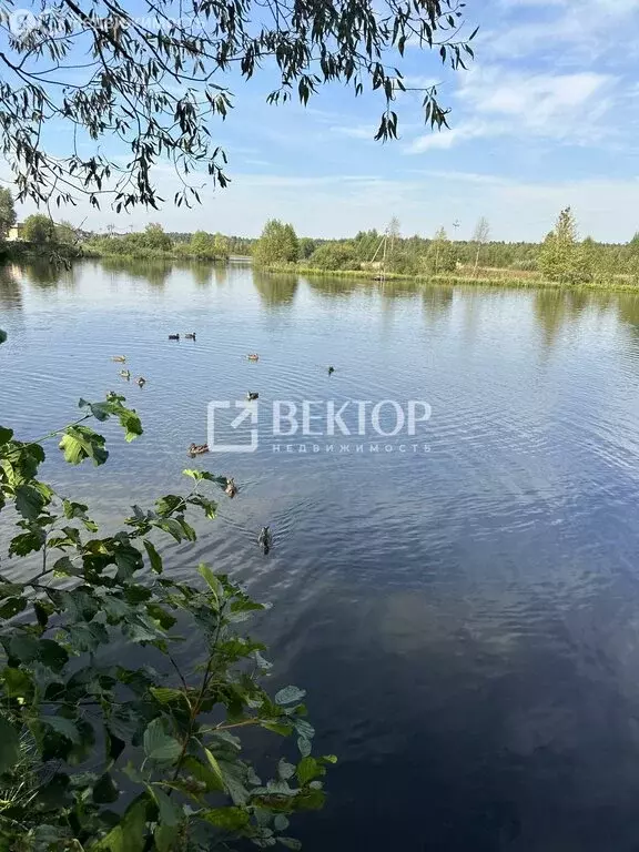 Дом в Афанасово, улица 1-я Линия, 22 (52.4 м) - Фото 1