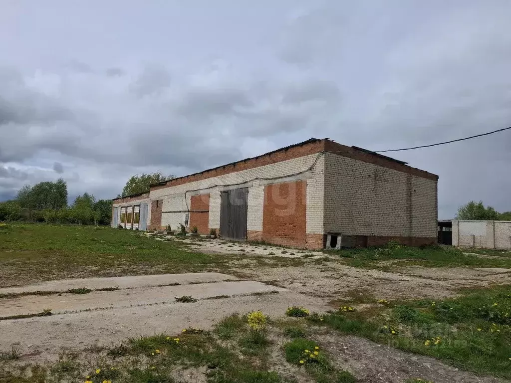 Склад в Калужская область, пос. Бабынино ул. Кооперативная (1000 м) - Фото 1