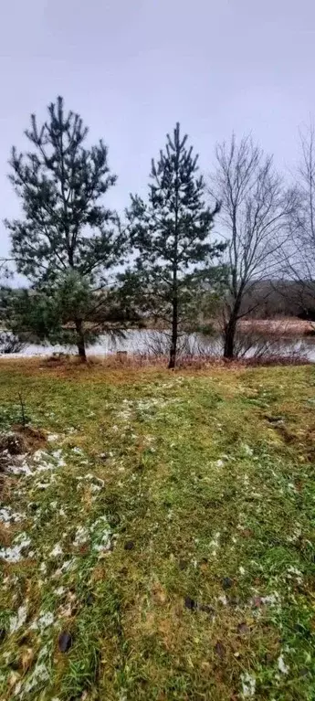 Участок в Новгородская область, Шимское городское поселение, д. ... - Фото 1