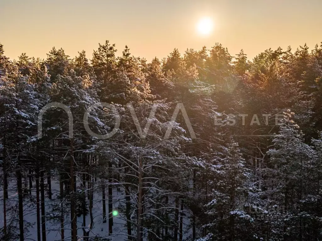 Участок в Санкт-Петербург пос. Комарово, просп. Лесной (120.0 сот.) - Фото 1