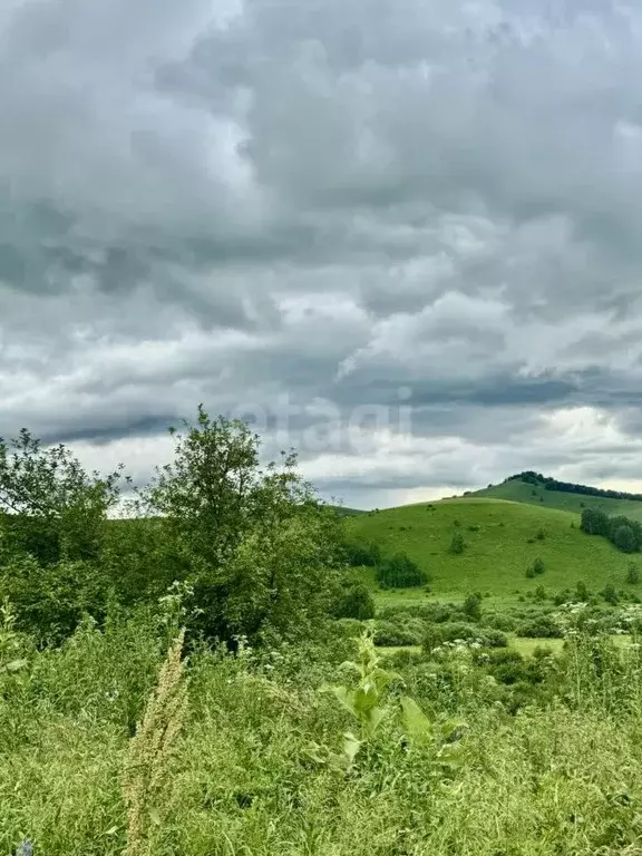 Участок в Алтайский край, Солонешенский район, с. Солонешное  (2320.0 ... - Фото 0