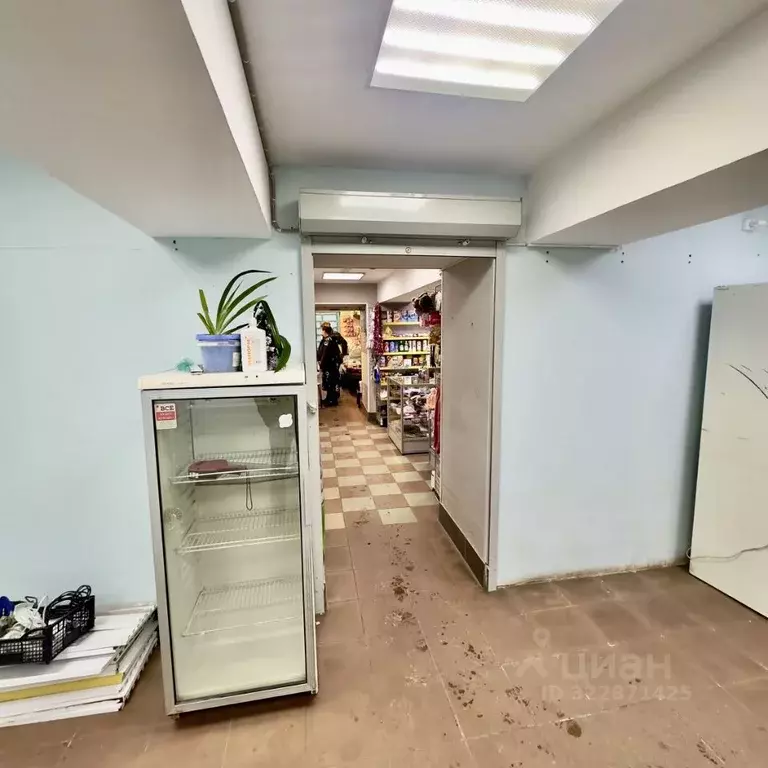 Помещение свободного назначения в Мурманская область, Мурманск ... - Фото 1