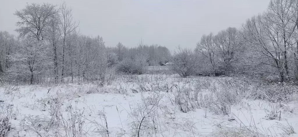 Участок в Московская область, Шатура муниципальный округ, д. Митинская ... - Фото 1