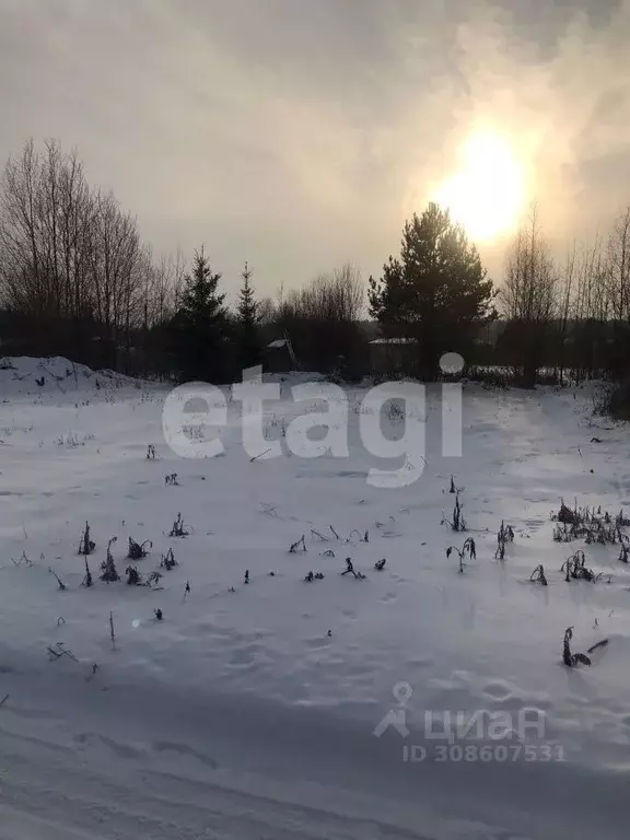 Участок в Костромская область, Костромской район, Самсоновское с/пос, ... - Фото 1