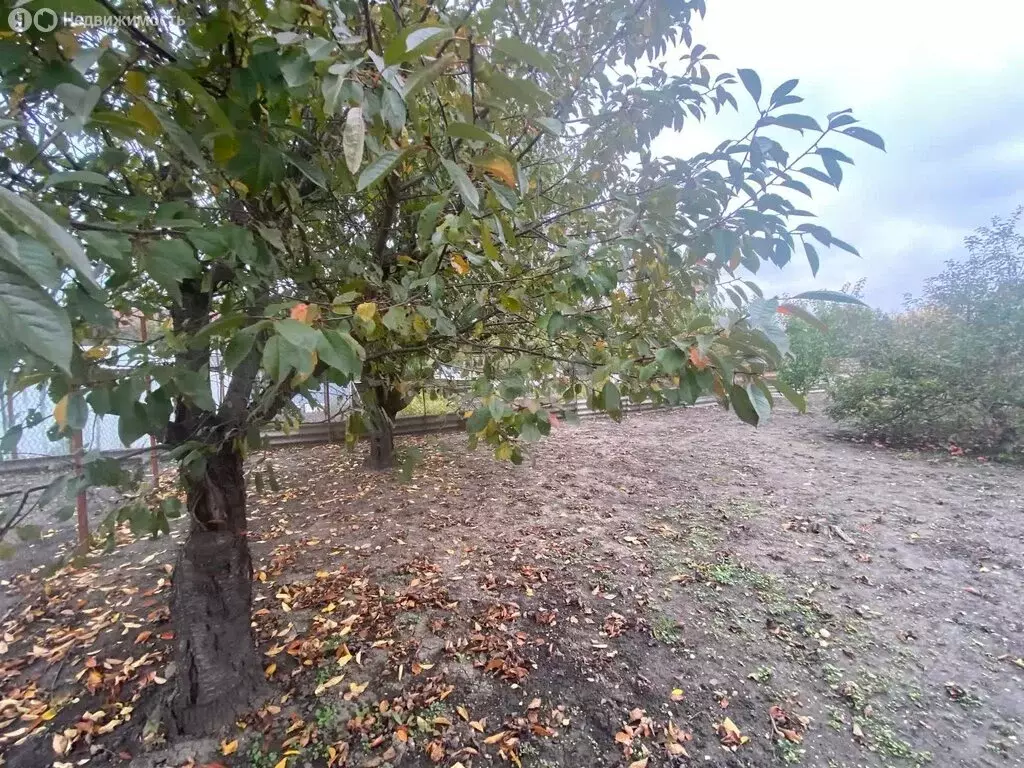 Участок в Горячеводский, улица 1-я Линия (11 м) - Фото 1