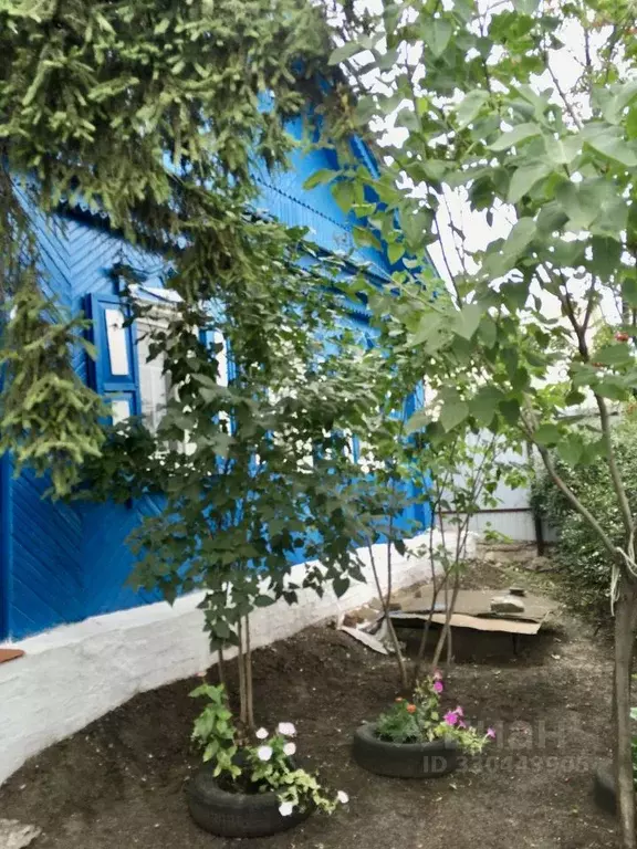 Дом в Самарская область, Кинель городской округ, Алексеевка пгт ул. ... - Фото 2