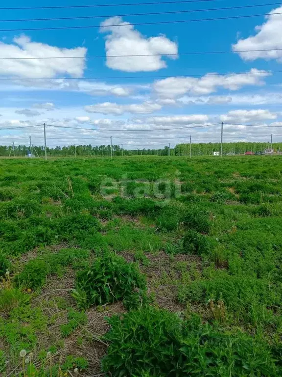 Участок в Тюменская область, Тюменский район, с. Кулига  (6.8 сот.) - Фото 0