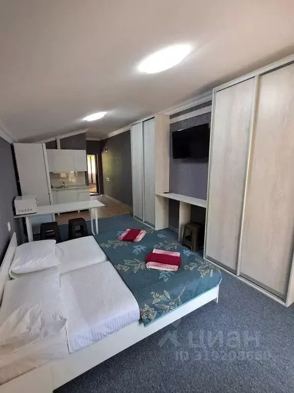 Студия Краснодарский край, Сочи Магнитогорская ул., 21/8 (30.0 м) - Фото 1