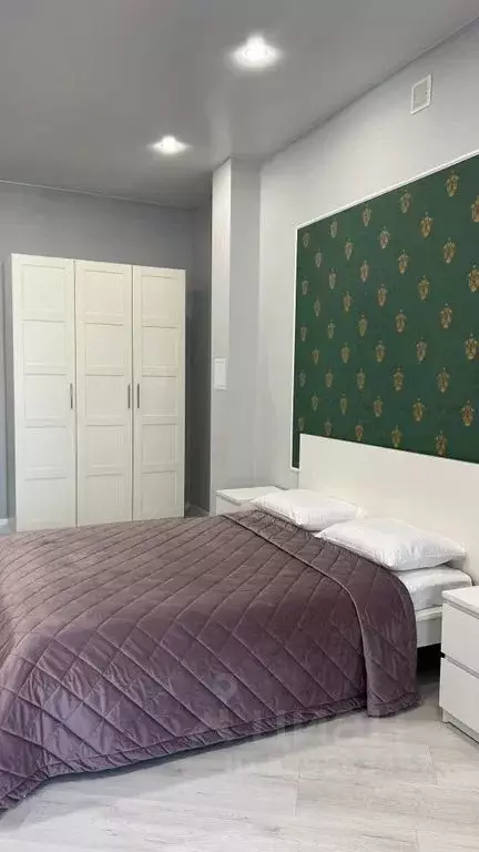 Студия Ставропольский край, Кисловодск ул. Чкалова, 75 (43.0 м) - Фото 2