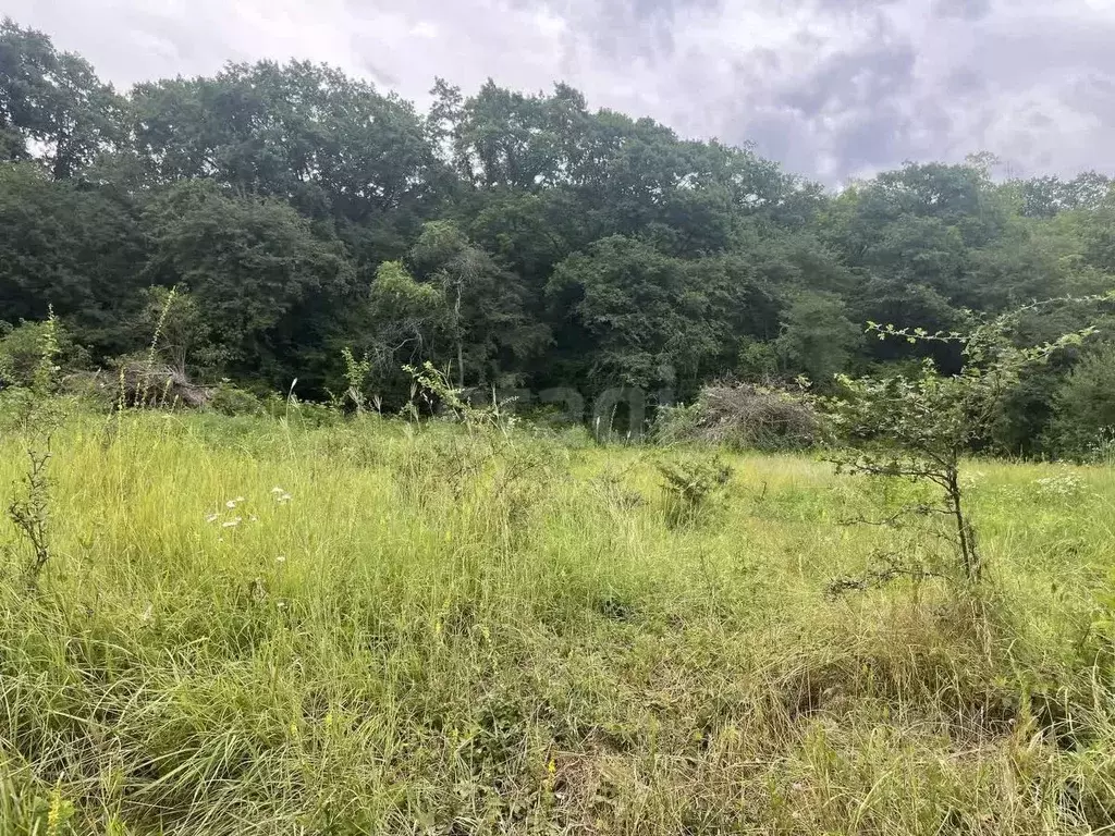Участок в Адыгея, Майкопский район, пос. Тульский ул. Советская (15.0 ... - Фото 1