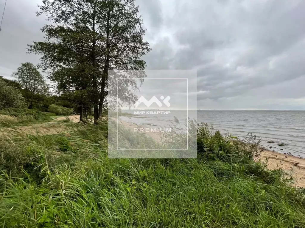 Участок в Санкт-Петербург Соловьиная ул., 15 (24.0 сот.) - Фото 1