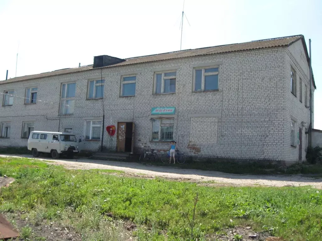 Помещение свободного назначения в Ульяновская область, Барышский ... - Фото 1