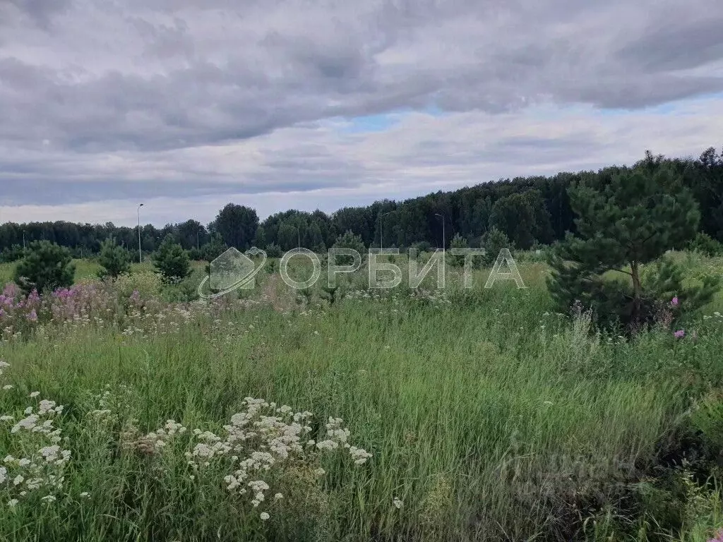 Участок в Тюменская область, Тюмень СОСН Березка-3 тер., ул. 15-я ... - Фото 0