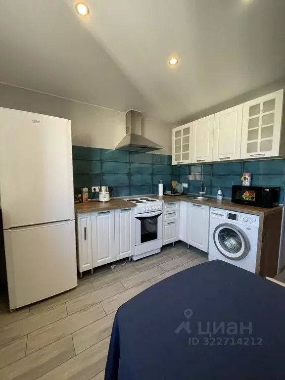 1-к кв. Санкт-Петербург ул. Асафьева, 6К2 (25.0 м) - Фото 1