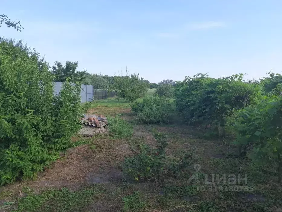Участок в Московская область, Клин городской округ, д. Кононово  (15.0 ... - Фото 0