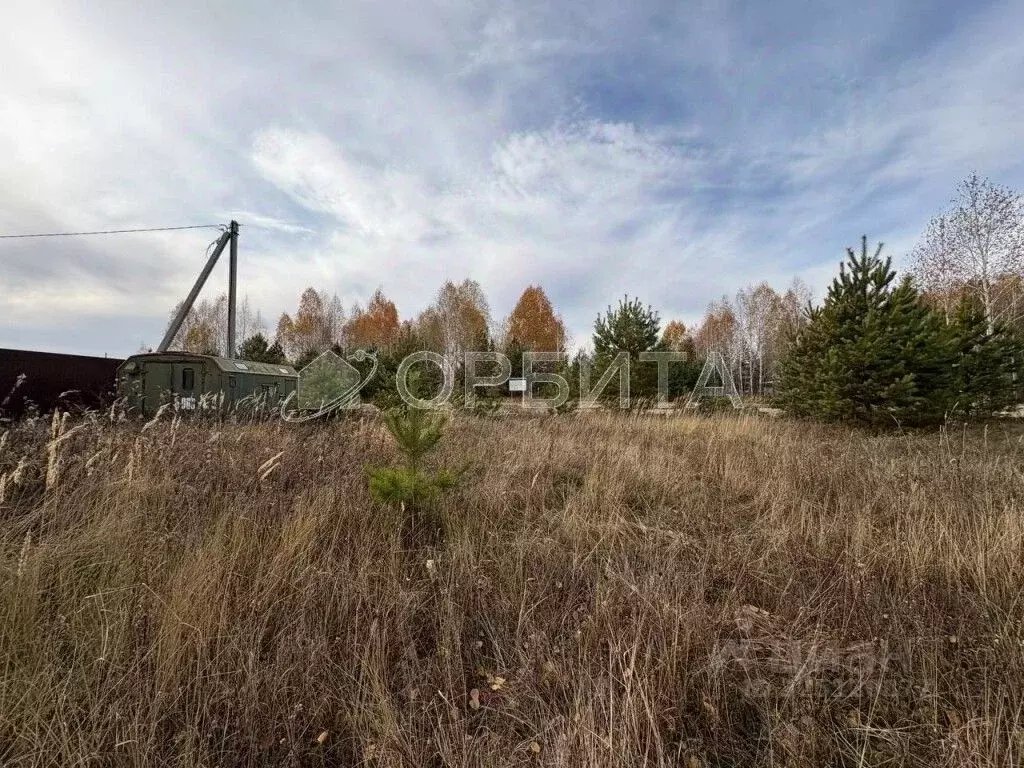 Участок в Тюменская область, Тюменский муниципальный округ, Архип ... - Фото 0