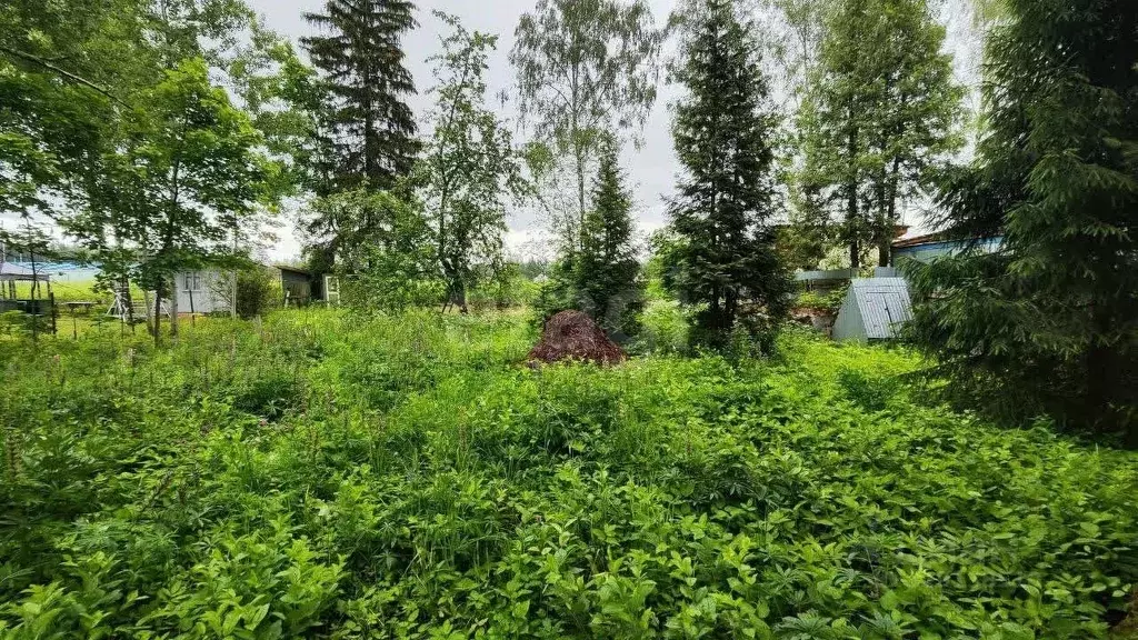 Участок в Московская область, Одинцовский городской округ, ... - Фото 1