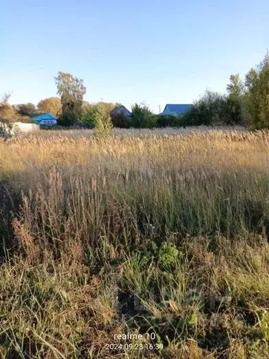 Участок в Татарстан, Зеленодольский район, Нижние Вязовые ... - Фото 1