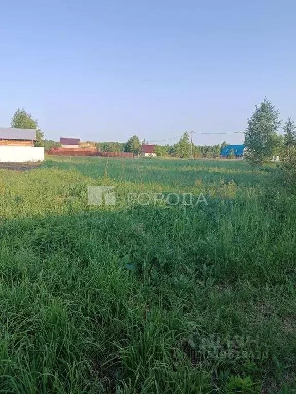 Участок в Новосибирская область, Новосибирский район, Верх-Тулинский ... - Фото 1