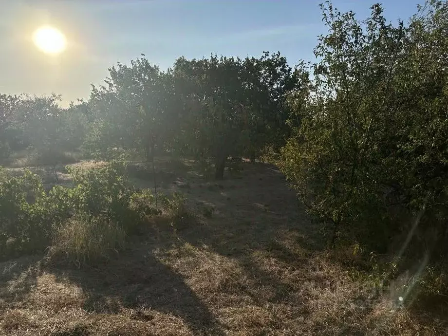 Участок в Крым, Симферопольский район, Б сектор 363 (8.0 сот.) - Фото 2