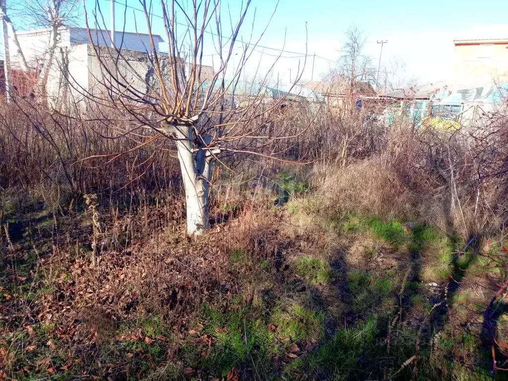 Участок в Краснодарский край, Ейское городское поселение, пос. ... - Фото 1