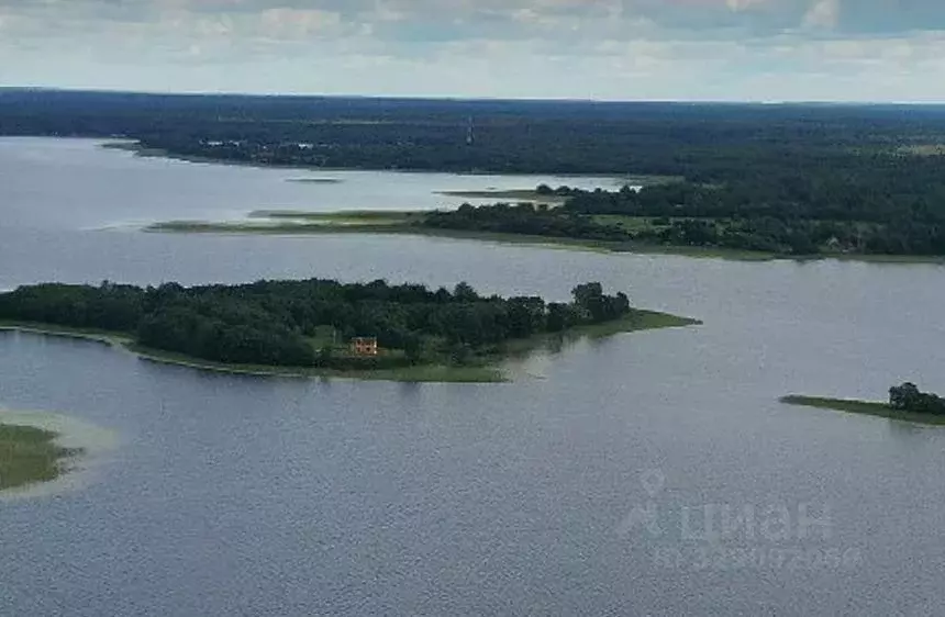 Участок в Тверская область, Осташковский муниципальный округ, д. ... - Фото 1