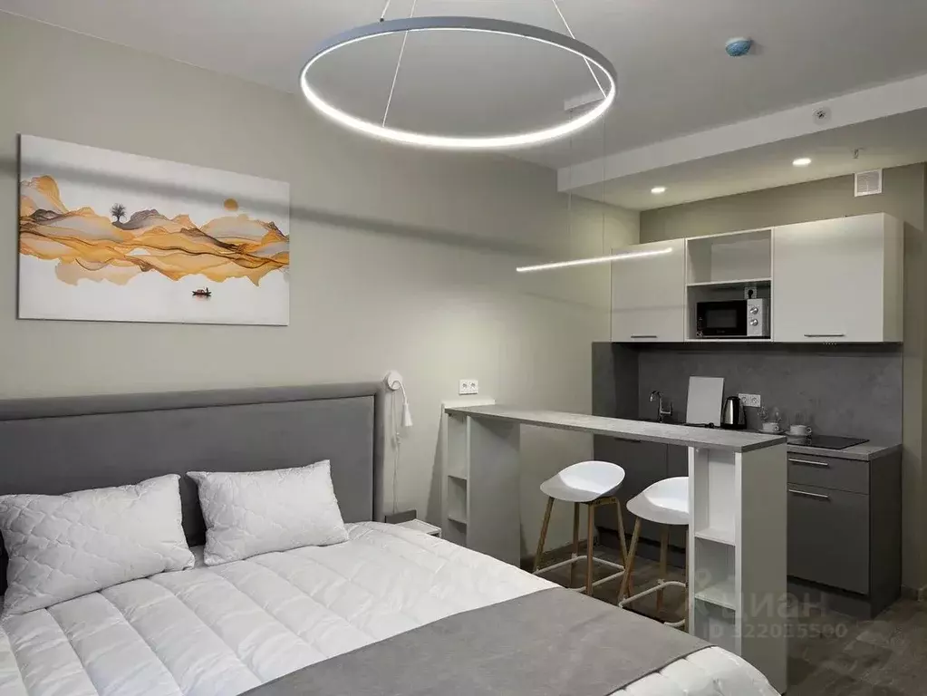 Студия Санкт-Петербург Витебский просп., 99к1 (25.0 м) - Фото 1