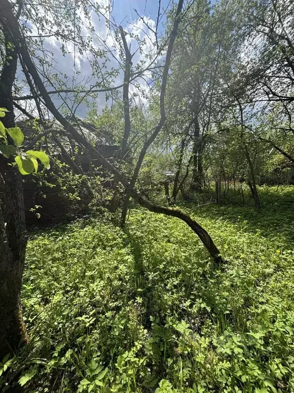 Участок в Калужская область, Калуга Березка СНТ, 430 (4.0 сот.) - Фото 2