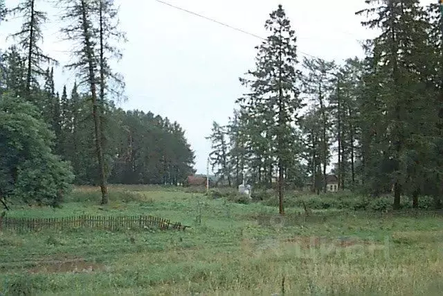 Участок в Ярославская область, Борисоглебский район, с. Вощажниково  ... - Фото 0