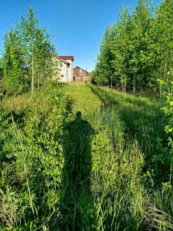 Участок в Нижегородская область, Балахнинский муниципальный округ, ... - Фото 1