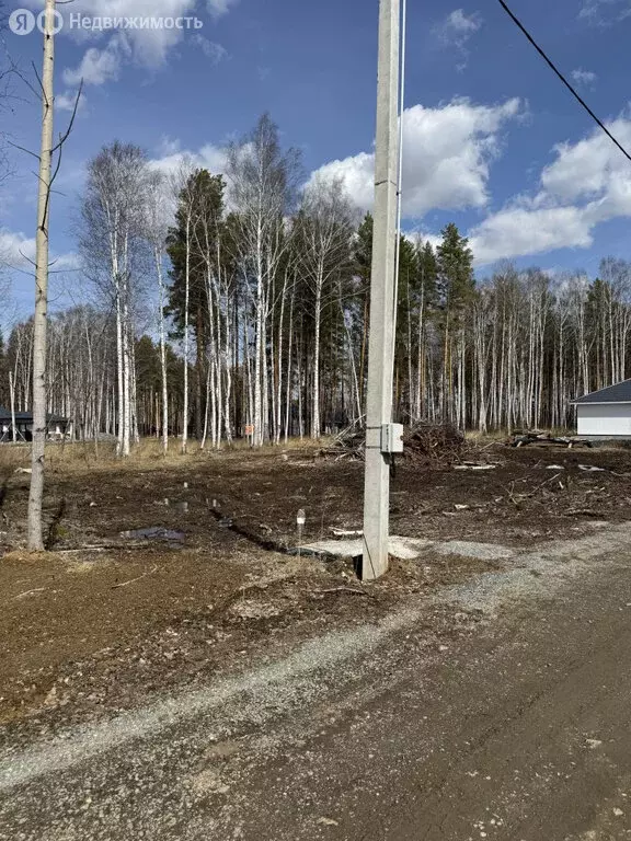 Участок в село Курганово, коттеджный посёлок Белые росы. Лес (6 м) - Фото 0