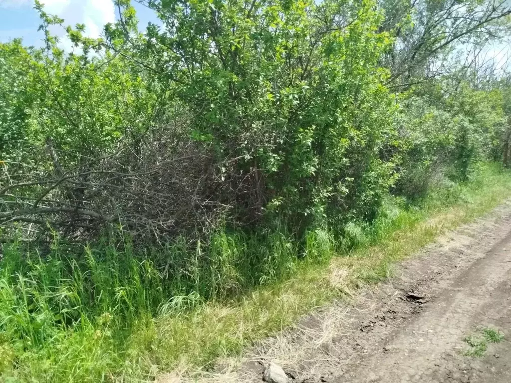 Участок в Краснодарский край, Ейское городское поселение, пос. ... - Фото 2