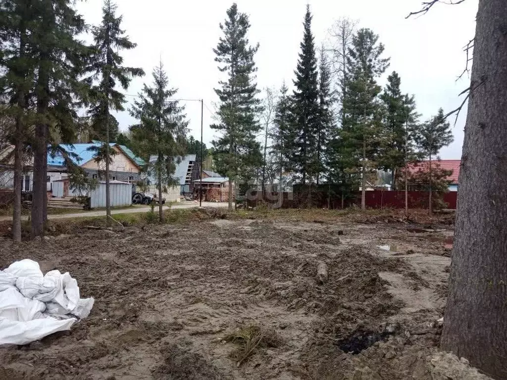 Участок в Ханты-Мансийский АО, Ханты-Мансийск Движенец СОТ,  (5.0 ... - Фото 0