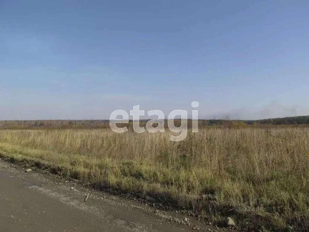 Участок в Свердловская область, Нижний Тагил ул. 1-я Звездная (10.0 ... - Фото 0