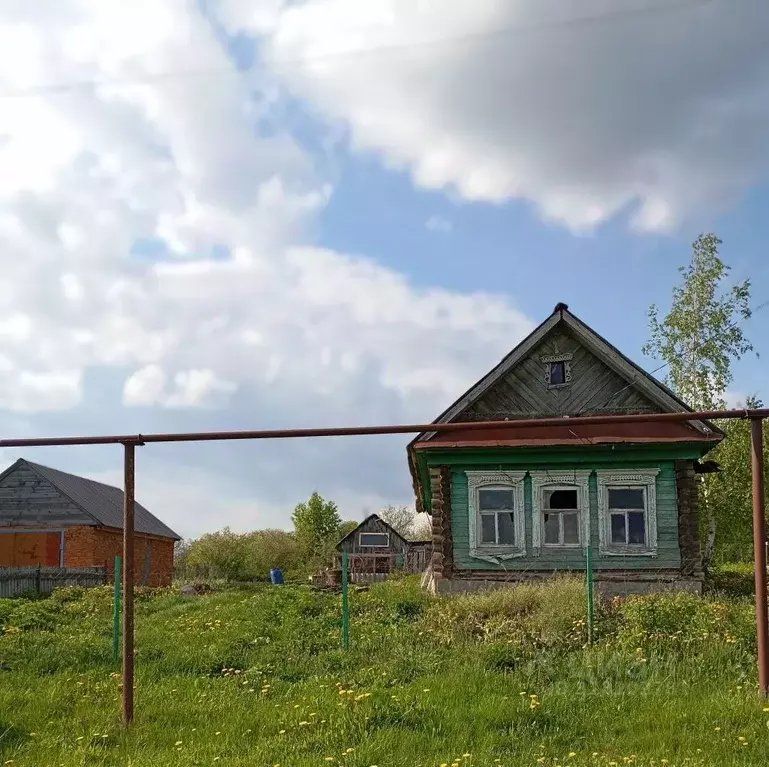 Дом в Нижегородская область, Перевозский муниципальный округ, с. ... - Фото 0