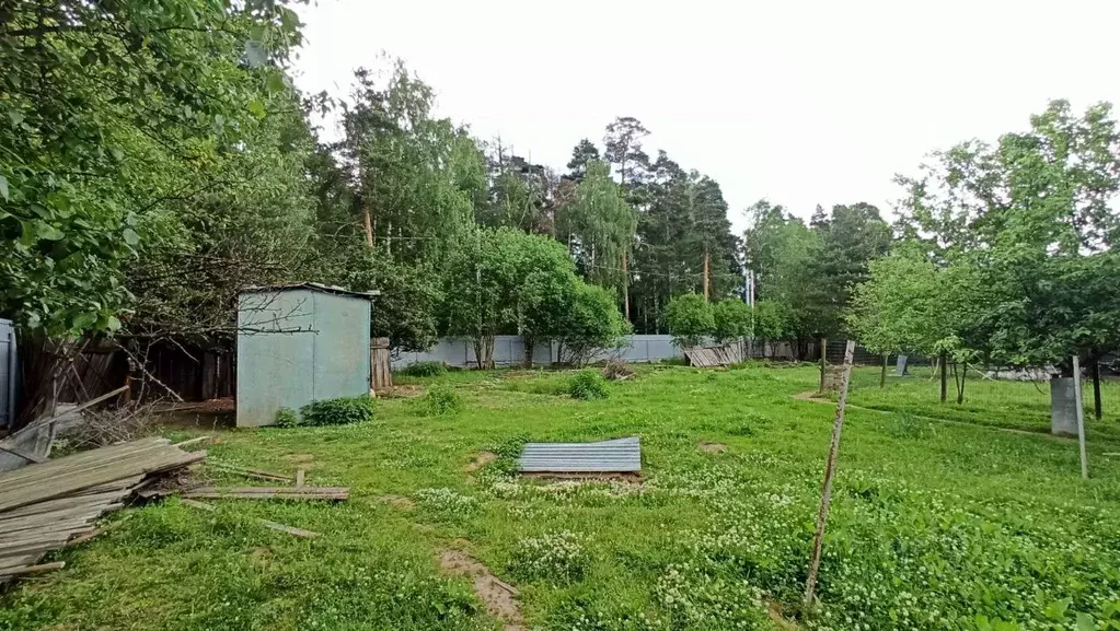 Участок в Московская область, Пушкинский городской округ, пос. Лесные ... - Фото 0