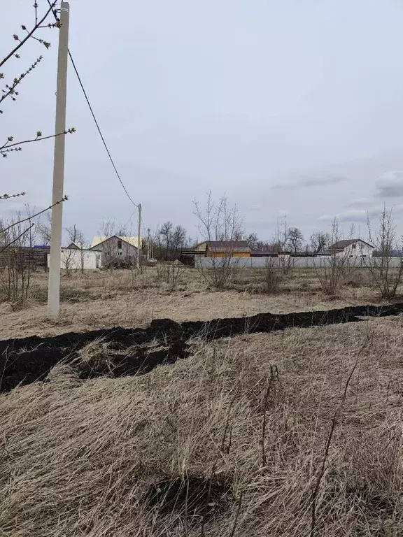 Участок в Пензенская область, с. Бессоновка ул. Тихая, 140 (8.0 сот.) - Фото 1