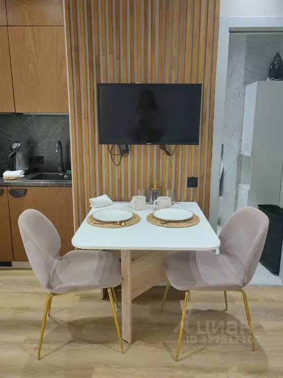 Студия Краснодарский край, Сочи Новый Сочи мкр, ул. Пирогова, 10/12 ... - Фото 2